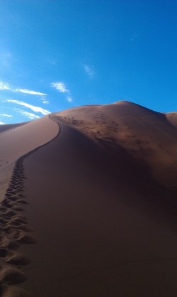 The Crazy Dune